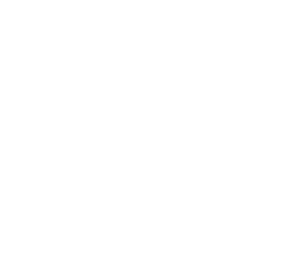 logo1234